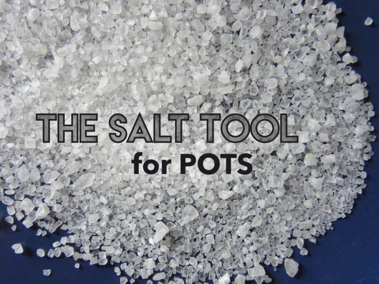 Popular Salt Options for POTS NAUGHTYLITTLEMASTCELLS